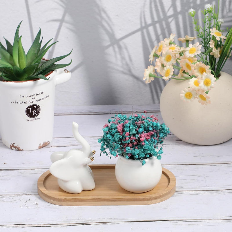 Kit com 2 Bandejas Pequenas de Bambu – Ovais para Joias, Cosméticos e Decoração