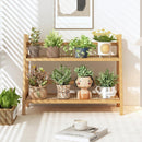 Organizador de estação de café com aparência de vime, suporte de caneca de bambu, prateleira de balcão de cozinha para acessórios de chá e café, suporte de matcha, expositor de xícara, rack